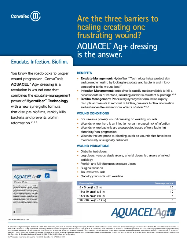 grafiksel kullanıcı arayüzü, metin, uygulama, Word